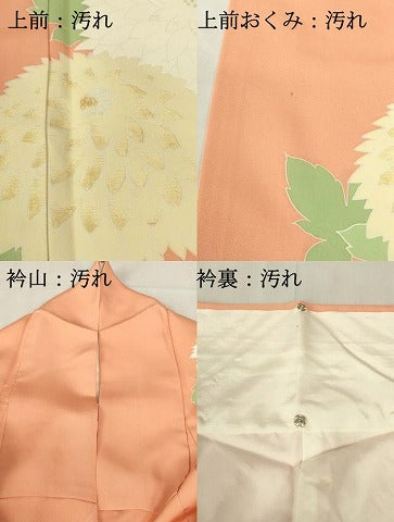 平和屋着物■訪問着　菊尽くし　正絹　逸品　DABF6940qp