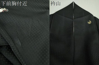 平和屋着物●訪問着　総刺繍　宝尽くし　黒地　金銀糸　正絹　逸品　DABF7536ps