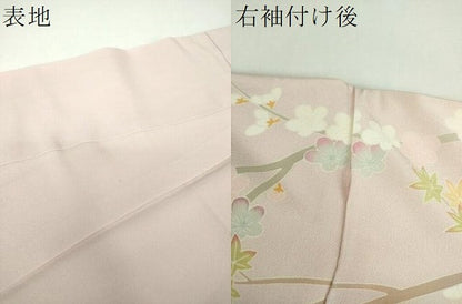 平和屋着物●訪問着　友禅　作家物　花鳥文　暈し染め　正絹　逸品　DABF7708ps
