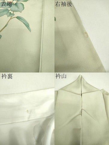 平和屋着物●訪問着　手描き　枝花文　正絹　逸品　DABF7917ps