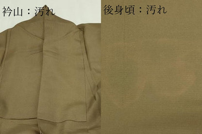 平和屋着物＊夏物　訪問着　枝葉文　絽　正絹　逸品　DABF8643sf