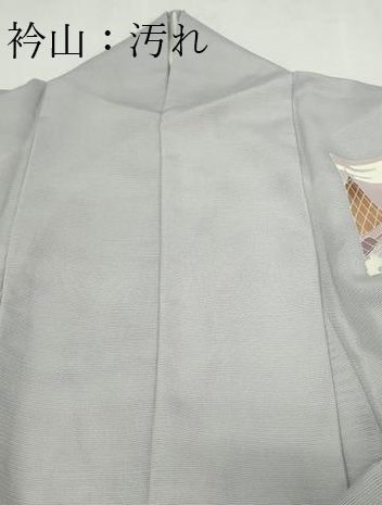 平和屋着物＊夏物　訪問着　舟　枝葉文　暈し染め　絽　ロング丈　正絹　逸品　DABF8644sf