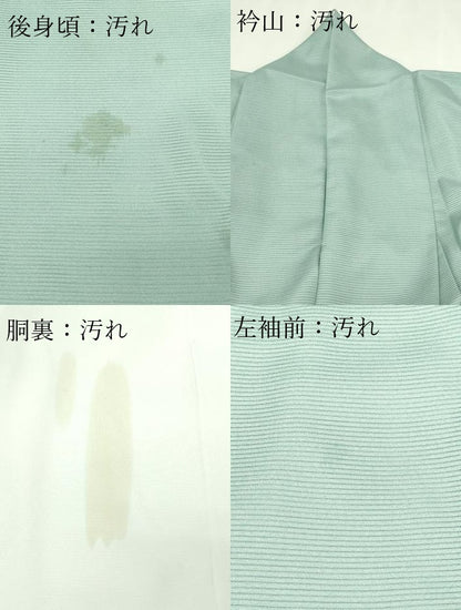 平和屋着物＊洗える最高級着物　＜英＞はなぶさ謹製　夏物　色留袖　枝葉文　銀彩　絽　DABF8647sf
