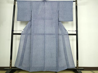 平和屋着物＊夏物　江戸小紋　鮫小紋柄　絽　正絹　逸品　DABF8651sf