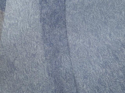 平和屋着物＊夏物　江戸小紋　鮫小紋柄　絽　正絹　逸品　DABF8651sf