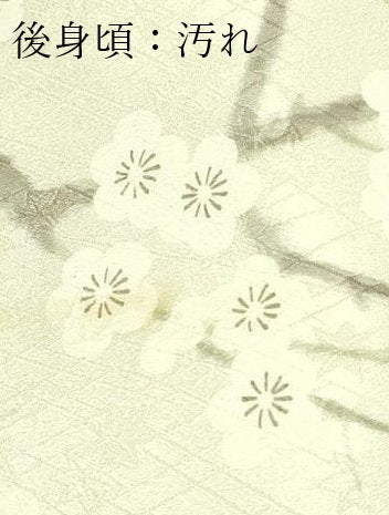平和屋着物■上質な小紋　枝梅花蝶丸文　正絹　逸品　DABF8704sf