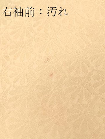 平和屋着物■上質な小紋 青海波花文 暈し染め ロング丈 正絹 逸品 DABF8718sf