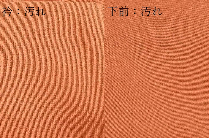 平和屋着物■豪華色留袖　作家物　駒刺繍　孔雀花文　正絹　逸品　DABF8731sf