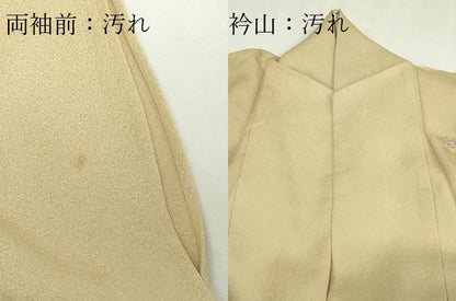 平和屋着物▽訪問着　単衣　枝花文　正絹　逸品　DABF8777sf