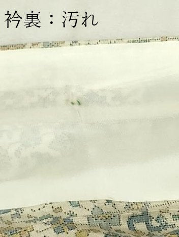 平和屋着物▽本場大島紬　白大島　単衣　７マルキ　花唐草文　正絹　逸品　DABF8791sf