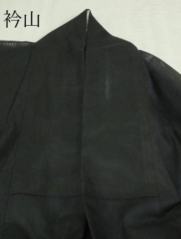 平和屋着物▽訪問着　単衣　無双　風景シルエット　紗袷　紗×紗　暈し染め　黒地　正絹　逸品　DABF8881sf