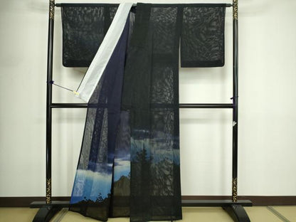 平和屋着物▽訪問着　単衣　無双　風景シルエット　紗袷　紗×紗　暈し染め　黒地　正絹　逸品　DABF8881sf