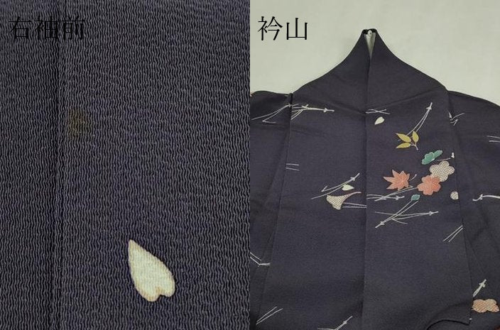 平和屋着物▽上質な小紋　単衣　舞花文　鬼しぼ縮緬　正絹　逸品　DABF8896sf