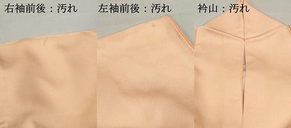 平和屋着物■訪問着 枝桜文 暈し染め 正絹 逸品 DABF9021qa