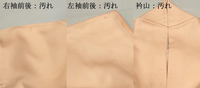 平和屋着物■訪問着 枝桜文 暈し染め 正絹 逸品 DABF9021qa