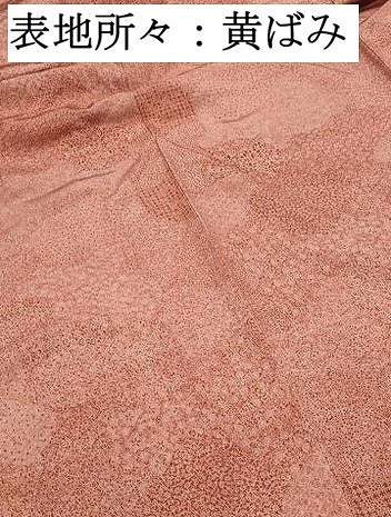 平和屋着物■江戸小紋 寄せ小紋柄 正絹 逸品 DABF9055qa