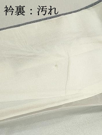 平和屋着物■江戸小紋　寄せ小紋柄　正絹　逸品　DABF9140qa