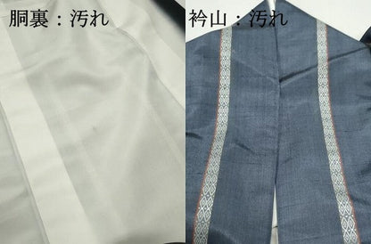 平和屋着物■上質な紬　間道　正絹　逸品　DABF9146qa