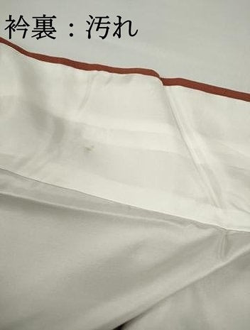 平和屋着物■豪華色留袖　作家物　風景樹林文　暈し染め　金彩　ロング丈　正絹　逸品　DABF9154qa
