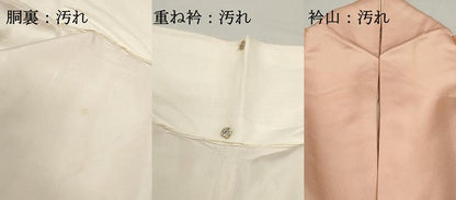 平和屋着物■豪華色留袖　扇面天井花鳥文　暈し染め　金彩　正絹　逸品　DABF9341qa