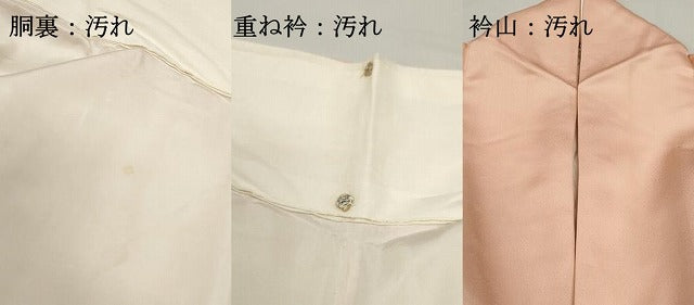 平和屋着物■豪華色留袖　扇面天井花鳥文　暈し染め　金彩　正絹　逸品　DABF9341qa