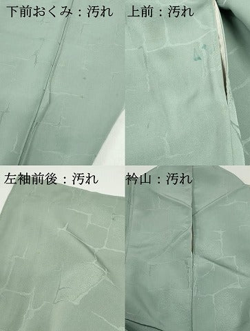 平和屋着物■上質な色無地　抽象地紋　裏葉柳色　正絹　逸品　DABF9433qa