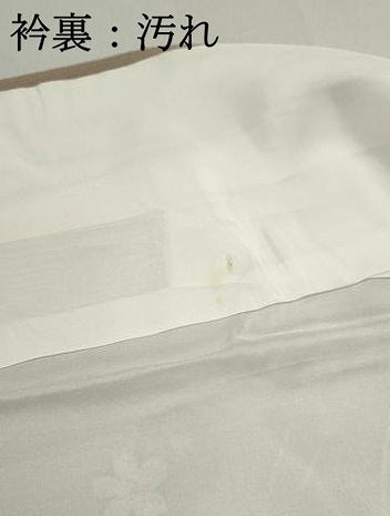 平和屋着物■訪問着　枝垂れ枝花文　暈し染め　金彩　正絹　逸品　DABF9451qa