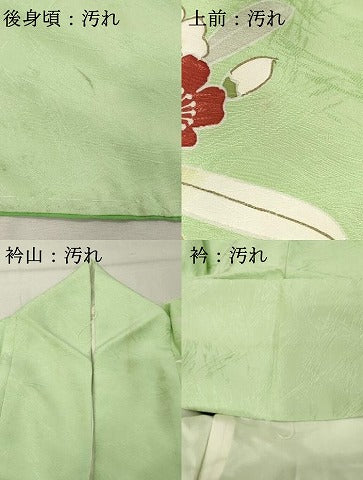 平和屋着物■訪問着 刺繍 草花文 金彩 大丸扱い 正絹 逸品 DABF9589cd