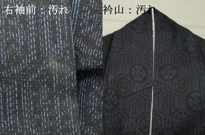 平和屋着物■上質な紬　亀甲花文　正絹　逸品　DABF9647cd