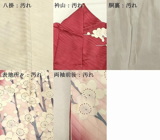 平和屋着物■豪華振袖　駒刺繍　枝梅文　暈し染め　銀彩　やまと誂製　正絹　逸品　DABF9692cd
