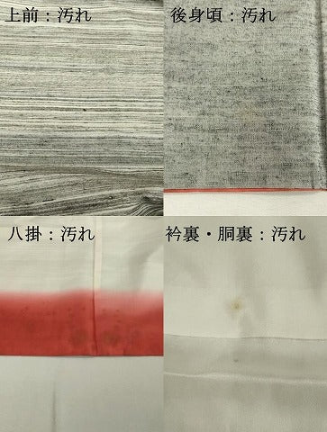 平和屋着物■訪問着　紬地　矢絣文様　正絹　逸品　DABF9697cd