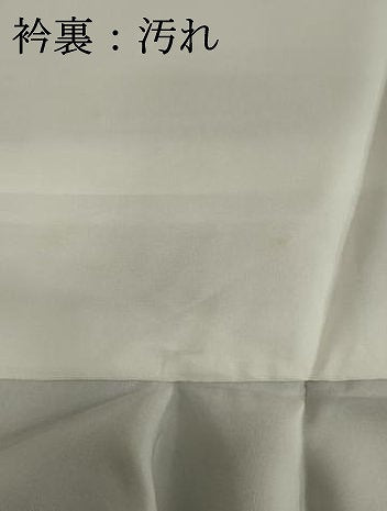 平和屋着物■江戸小紋　文字小紋柄　京都きもの友禅扱い　無病息災　正絹　逸品　未使用　DABF9717cd