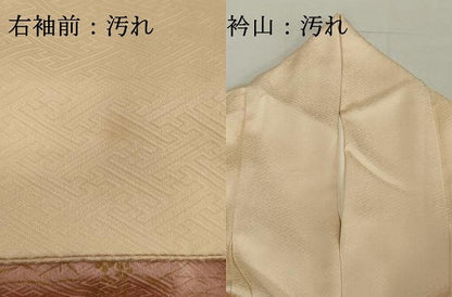 平和屋着物■色留訪問着　総刺繍　絞り　草花文　金銀彩　正絹　逸品　DABF9729cd