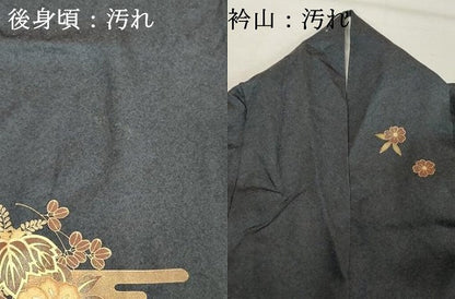 平和屋着物■訪問着　流水草花文　金彩　正絹　逸品　DABF9733cd
