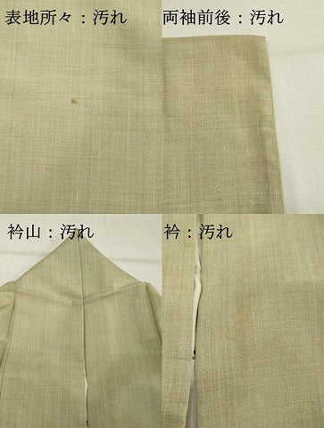 平和屋着物■上質な紬　霞文　ロング丈　正絹　逸品　DABF9782cd