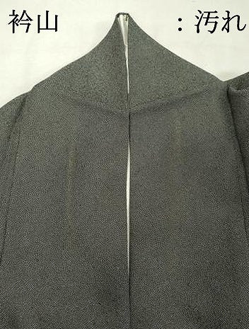 平和屋着物■江戸小紋　作家物　鮫小紋柄　正絹　逸品　DABF9816cd