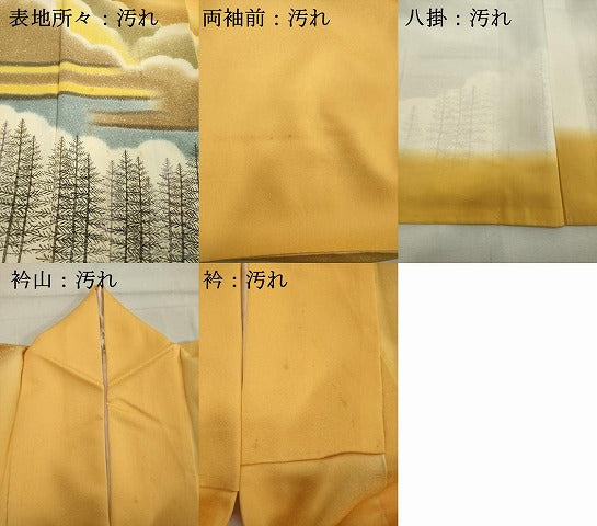 平和屋着物■訪問着　風景文　暈し染め　正絹　逸品　DABF9871cd