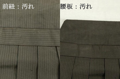 平和屋着物■男性　行灯袴　間道　正絹　逸品　DABF9872cd