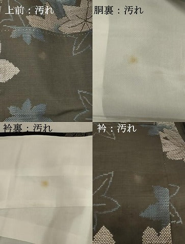 平和屋着物■本場大島紬　9マルキ　楓文　正絹　逸品　DABF9881cd