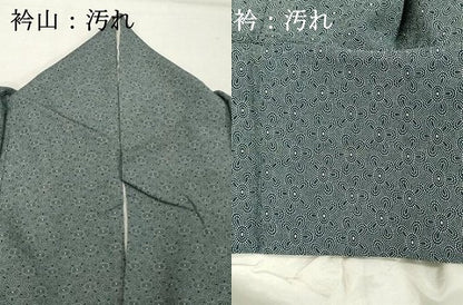 平和屋着物■江戸小紋　舞花文　正絹　逸品　DABF9960cd