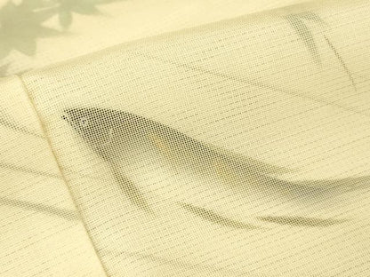 平和屋着物▽訪問着　無双　紗袷　紗×絽　魚文　鮎　手描き　正絹　逸品　未使用　DABG0211az