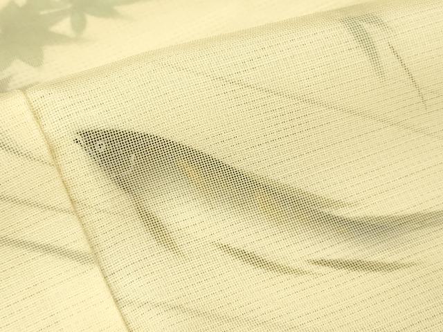 平和屋着物▽訪問着　無双　紗袷　紗×絽　魚文　鮎　手描き　正絹　逸品　未使用　DABG0211az