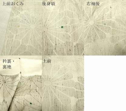 平和屋着物▽訪問着　単衣　菊尽くし　正絹　逸品　DABG0710az