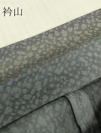 平和屋着物▽道中着　スリーシーズン　春夏秋　塵除け　作家物　霞文　ロング丈　反端付き　正絹　逸品　DABG0717az