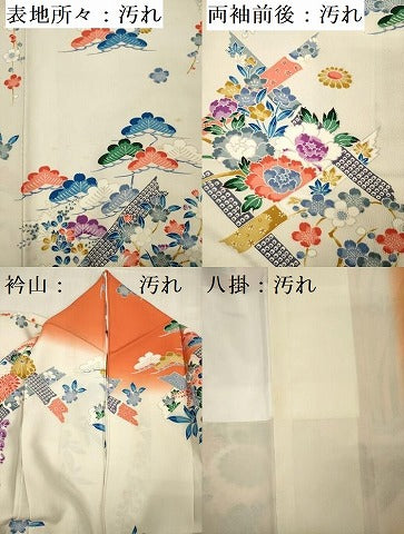 平和屋着物■豪華振袖　草花文　枝垂れ藤　暈し染め　正絹　逸品　DABG1532ya