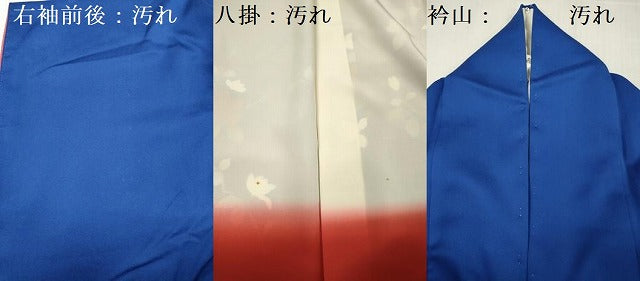 平和屋着物■訪問着　枝花文　暈し染め　正絹　逸品　DABG1537ya