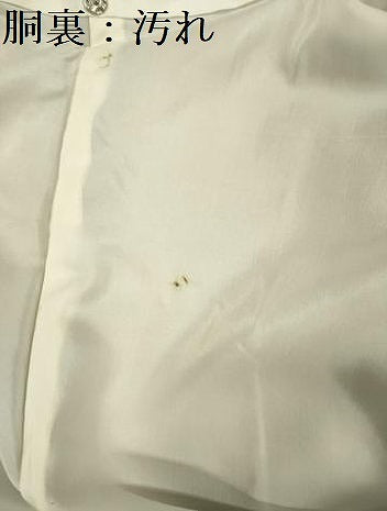 平和屋着物■上質な紬　菊尽くし　正絹　逸品　DABG1604ya