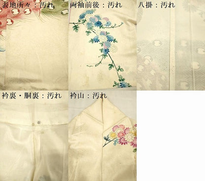 平和屋着物■訪問着　孔雀花文　金彩　正絹　逸品　DABG1640ya
