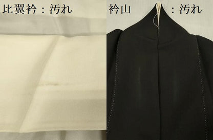 平和屋着物■豪華黒留袖　駒刺繍　群れ鳥　暈し染め　金彩　正絹　逸品　DABG1650qa