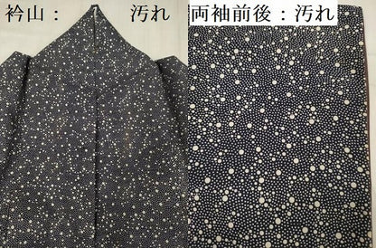 平和屋着物■江戸小紋　大小あられ　正絹　逸品　DABG1672ya